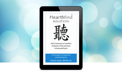 Book Review: HeartMind Solutions
